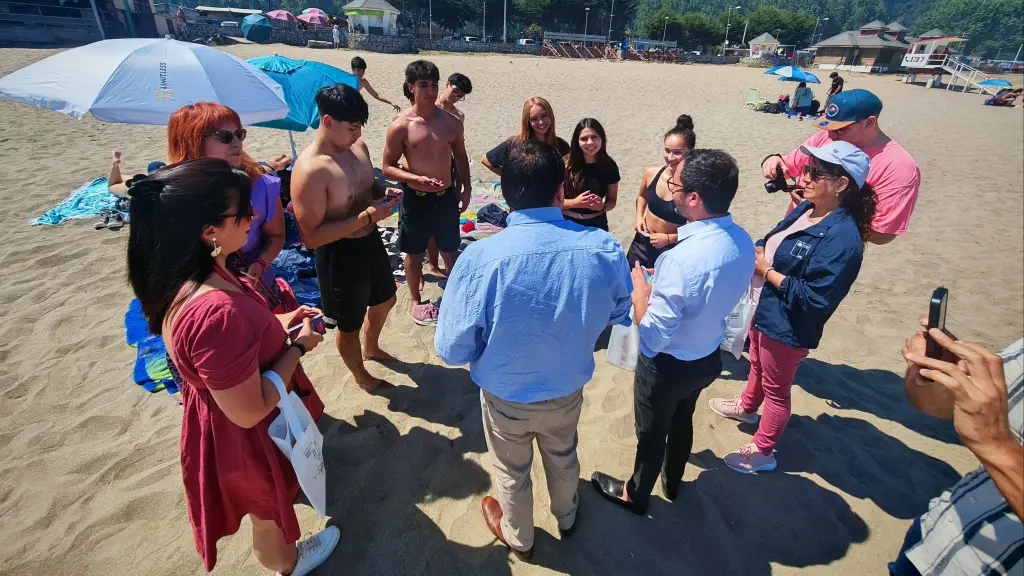 Biobío conmemora el Día Nacional contra la Violencia en el Pololeo con llamado a la prevención, Cedida