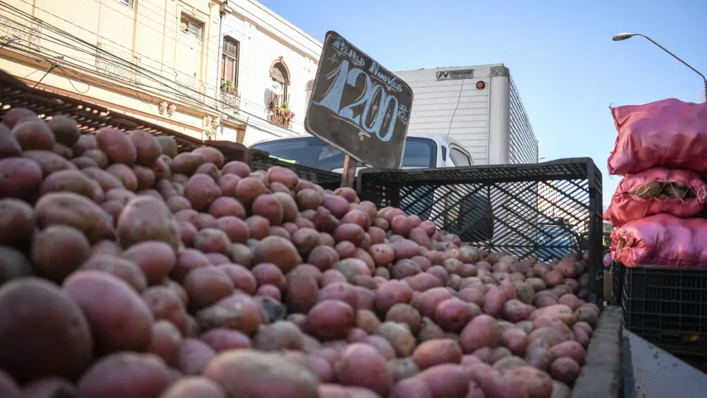 A futuro, los precios de la papa se mantendrán en márgenes bajos hasta abril o mayo de este año, tomando luego un rango normal.