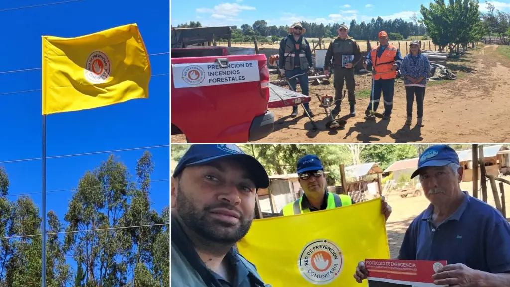 Vecinos del Biobío utilizan WhatsApp para prevenir incendios forestales, Cedida