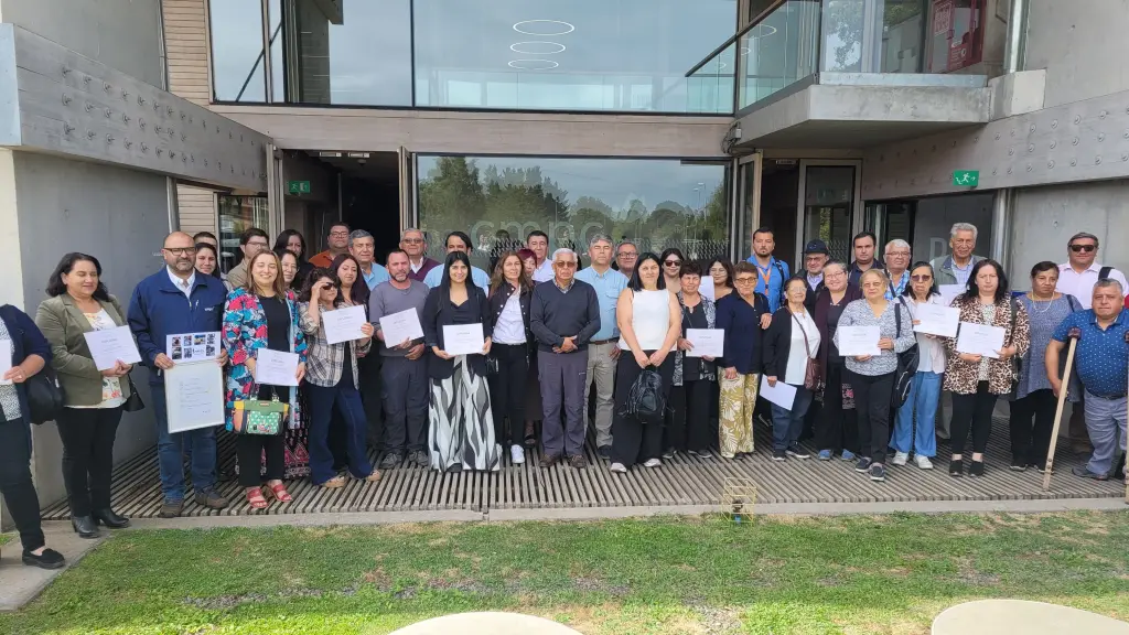 Desde 2016, el Fondo Social CMPC ha contribuido al desarrollo de proyectos para comunidades que habitan en el lugar de operaciones de la empresa.