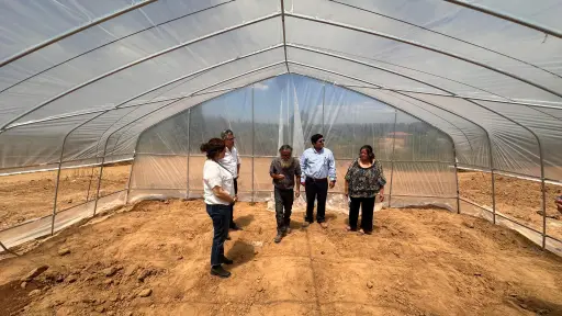 Entregan invernaderos a pequeñas agricultoras afectadas por incendios en Biobío