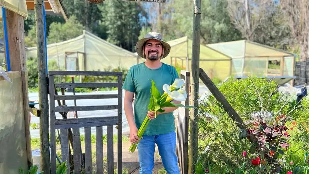 El Rey del Tulipán en Yumbel, cedida