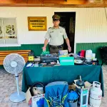 Especies recuperadas por Carabineros., Cedida