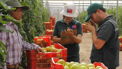 Fiscalizaciones en fronteras evitan ingreso de plagas para proteger la salud pública