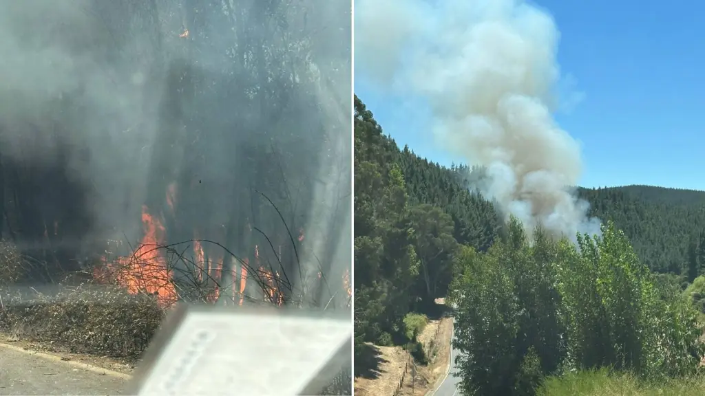 San Rosendo: Incendio forestal descontrolado en sector Casa Blanca obliga al corte de Ruta Q-730, Cedida