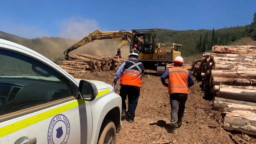 Empresas de Biobío bajo la lupa por condiciones laborales en el calor extremo, Cedida