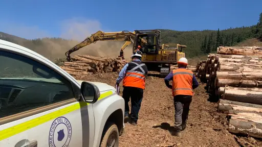 Empresas de Biobío bajo la lupa por condiciones laborales en el calor extremo