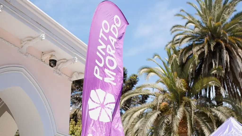 Festival de Viña 2025: Nueva campaña contra la violencia de género, Diario La Tribuna