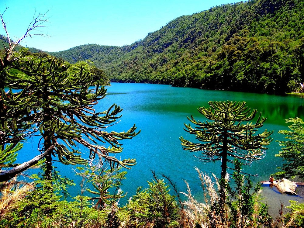 Parque Nacional Huerquehue / Diario La Tribuna