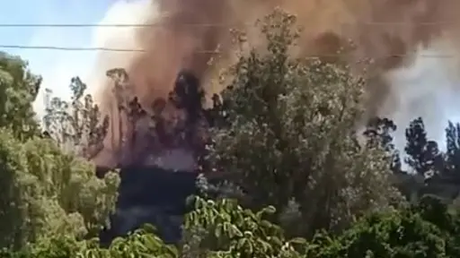  Adulta mayor fallece en incendio forestal en Curepto