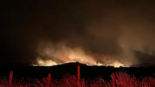 Tres incendios forestales activos en el Biobío mantienen en alerta a las autoridades