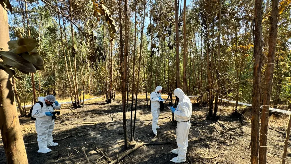 Investigan incendio en Purén