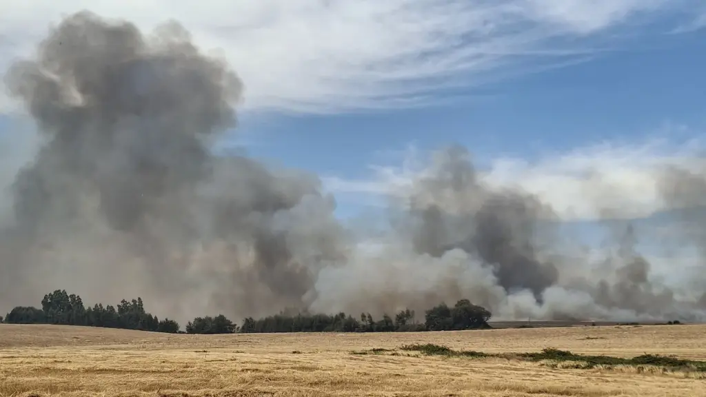 Incendio forestan de sector Bellavista de Pilguen, Diario La Tribuna