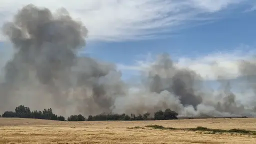 Último minuto: Se reporta nuevo incendio forestal en Mulchen 