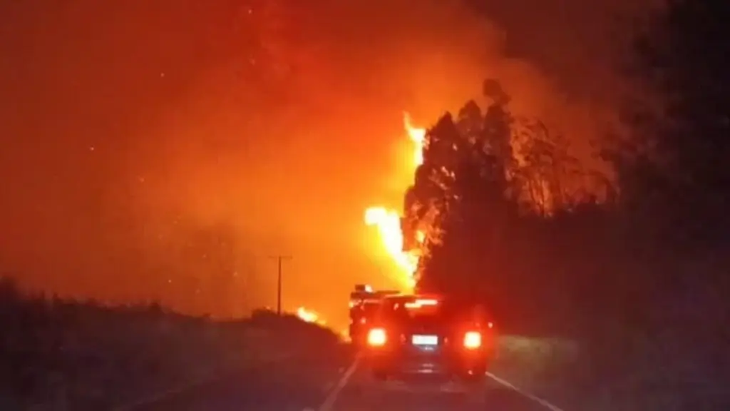 22 Incendios forestales continúan en combate a nivel nacional: se han emitido 49 alertas SAE, Diario La Tribuna