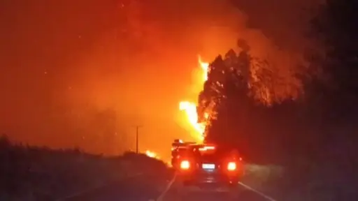 22 Incendios forestales continúan en combate a nivel nacional: se han emitido 49 alertas SAE