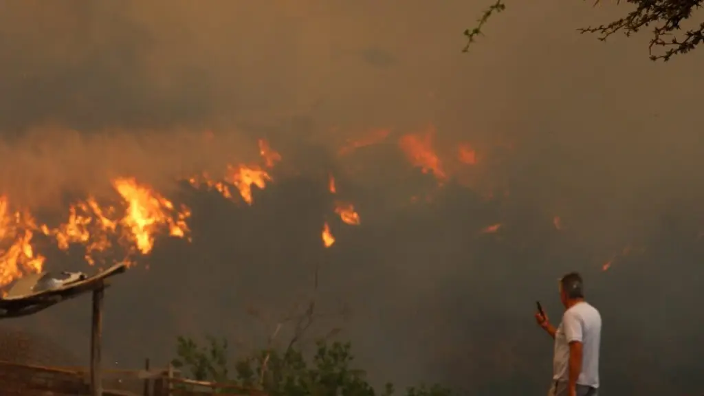 Incendios forestales en Mulchén:, Diario La Tribuna