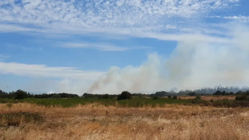 Alarma de Incendio en Los Ángeles., Diario La Tribuna