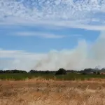Alarma de Incendio en Los Ángeles., Diario La Tribuna