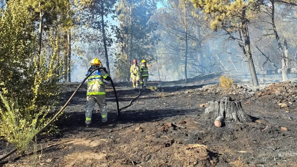 Investigan origen del fuego., CBLA