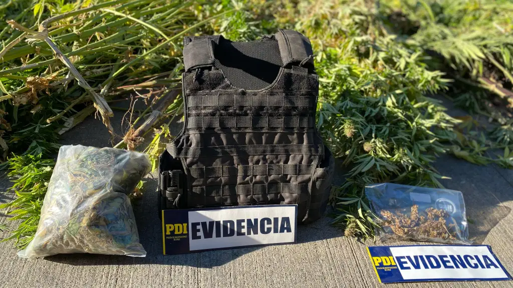 Incautación en comunidad mapuche, PDI