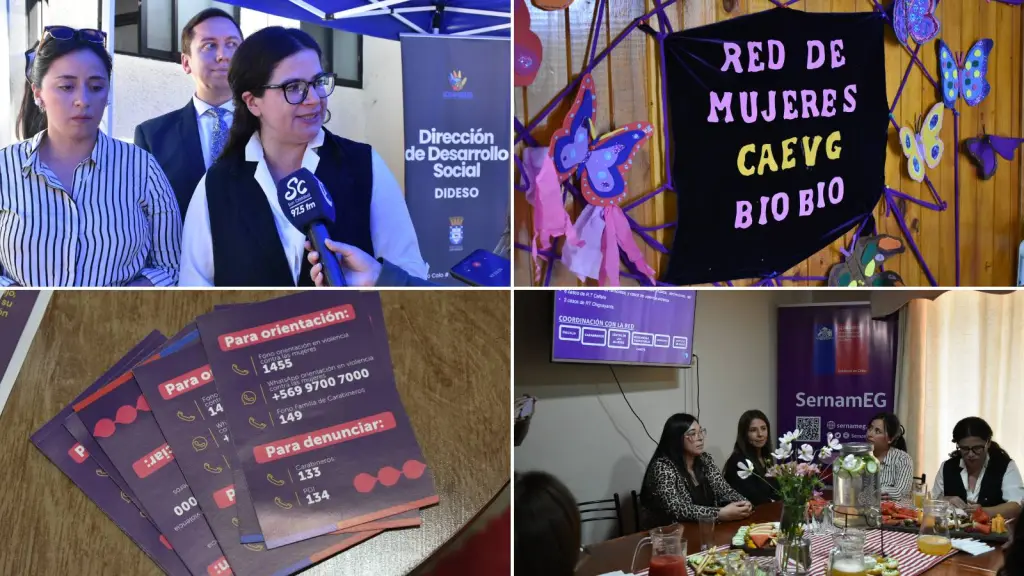 Ministra de la Mujer abordó avances en la lucha contra la violencia de género en la provincia de Biobío, La Tribuna