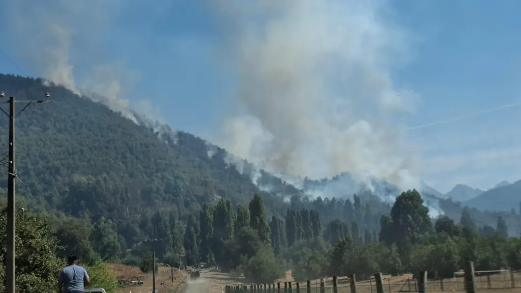 Vista incendio en Cauñicú. / Municipalidad de Alto Bío Bío.