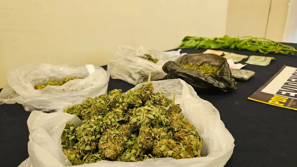 El procedimiento culminó con la detención de dos personas y la incautación de sustancias ilícitas y elementos asociados al tráfico., PDI Chile