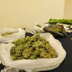 El procedimiento culminó con la detención de dos personas y la incautación de sustancias ilícitas y elementos asociados al tráfico., PDI Chile