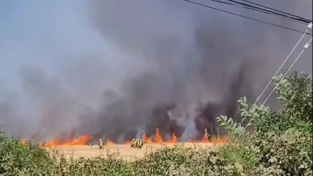 Incendio Morandé., Municipalidad de Mulchén