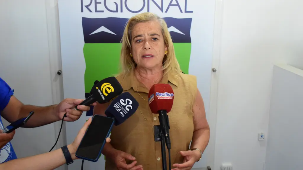 La diputada aseguró que el proyecto busca justicia, prevención y seguridad para todos.