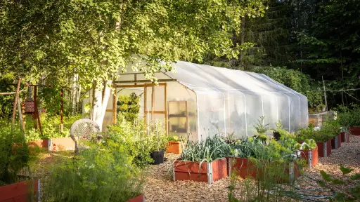 Exposición de especies vegetales y semillas en Tucapel permite generar negocios sostenibles