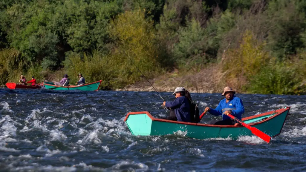 bajada en bote por el río Biobío, cedida