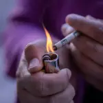 Ley del Tabaco, Cedida
