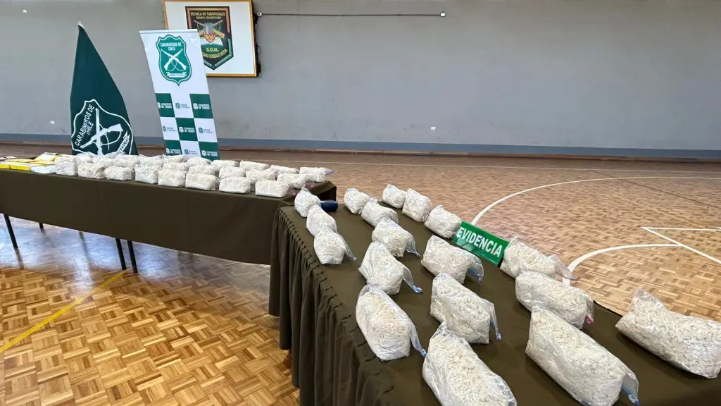 Operación Frontera Sur., Cedida