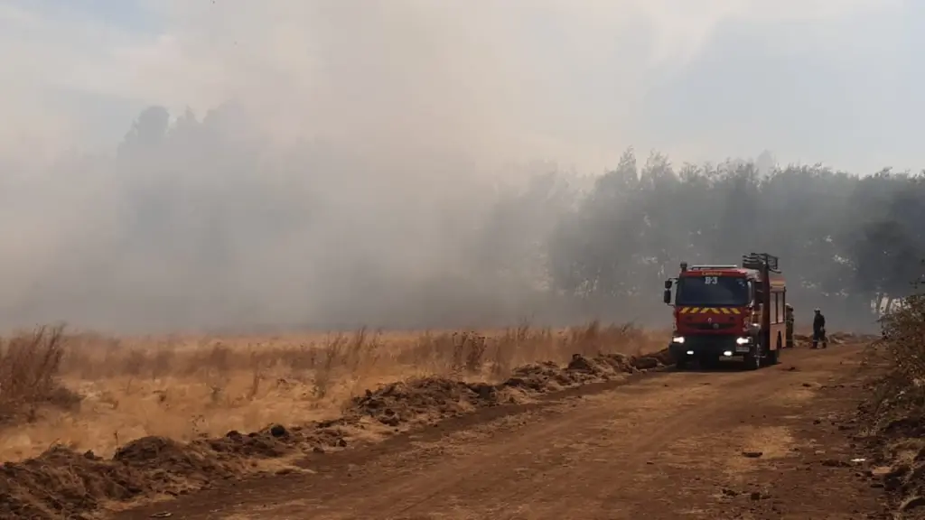 Contexto., Diario La Tribuna