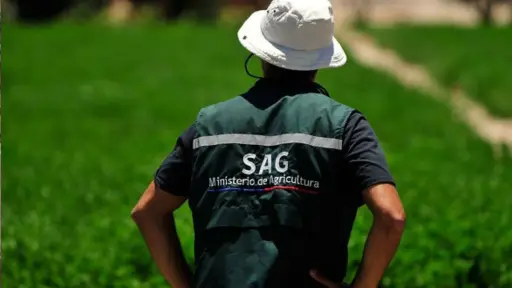 SNA advierte que recorte de .200 millones al SAG pone en riesgo exportaciones y sanidad agrícola