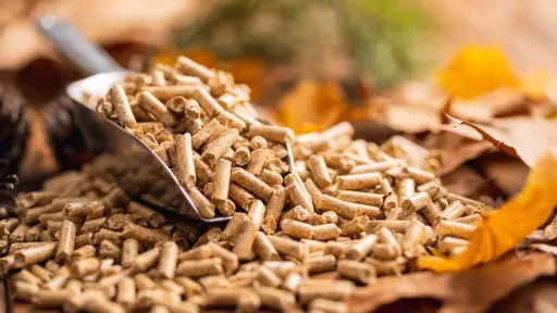 Biobío lidera la producción de pellet en Chile:  Productores aseguran disponibilidad para temporada 2025