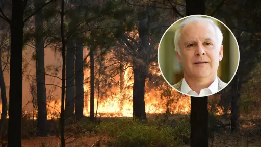 Presidente de Corma Biobío solicita financiamiento para reforestación: Tenemos que recuperar, en diez años, 41 mil hectáreas en la región