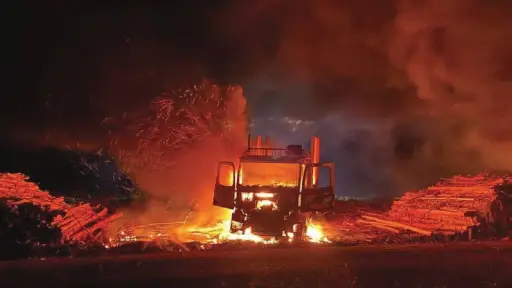 Sector forestal en alerta tras violencia en Mulchén: Piden medidas urgentes