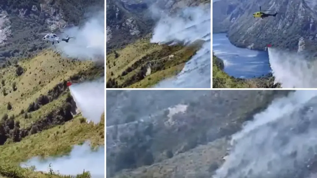 Laguna Cañicura incendio