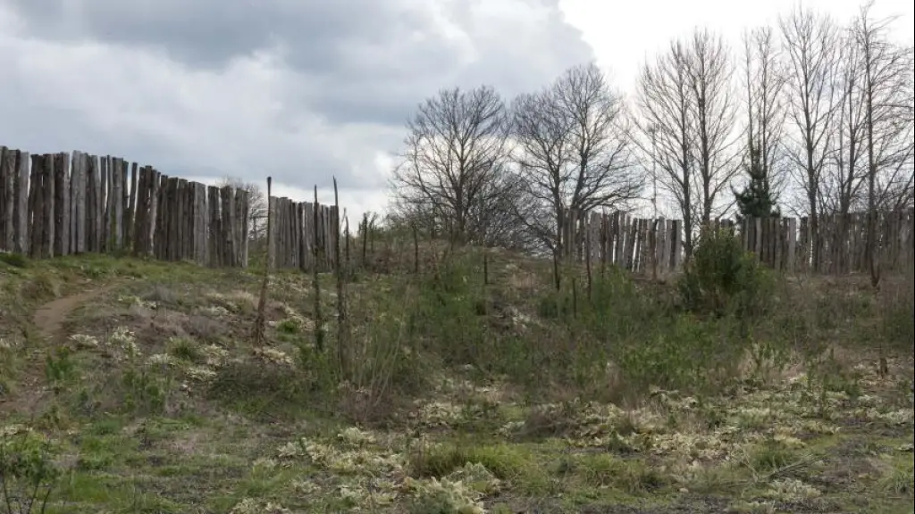 Fuerte Tucapel, internet