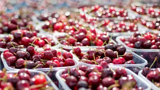 Productores de fruta llaman a exportadoras a responsabilizarse por pérdidas de la temporada