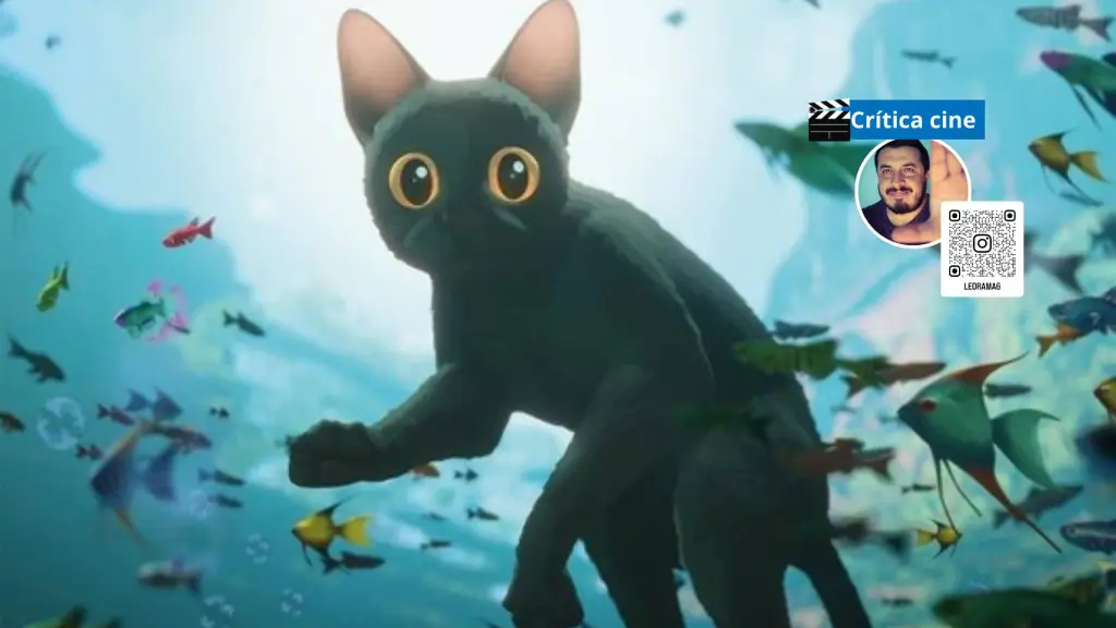 Película Flow, Referencial