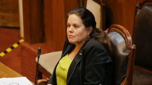 Maya Fernández renuncia al Ministerio de Defensa 