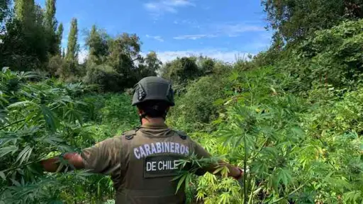 Piden fortalecer persecución de bandas criminales organizadas que delinquen en sectores rurales