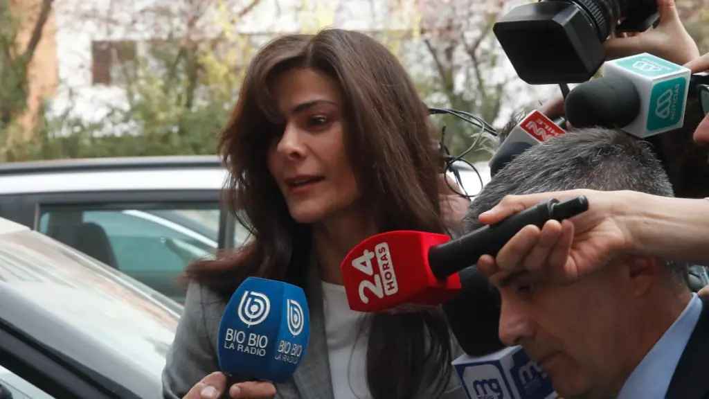 Tonka Tomicic, Internet