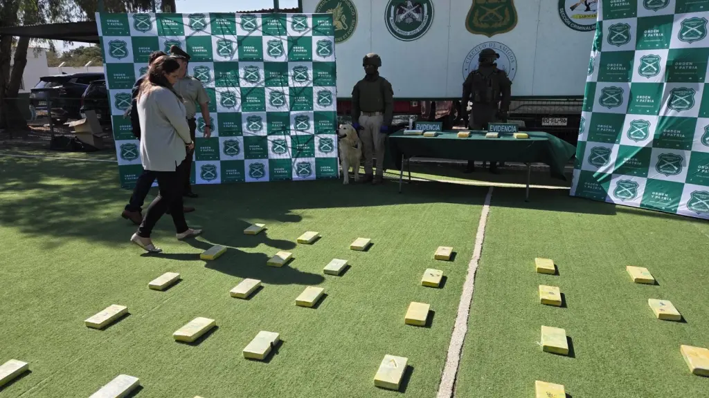 trafico de droga , cedida