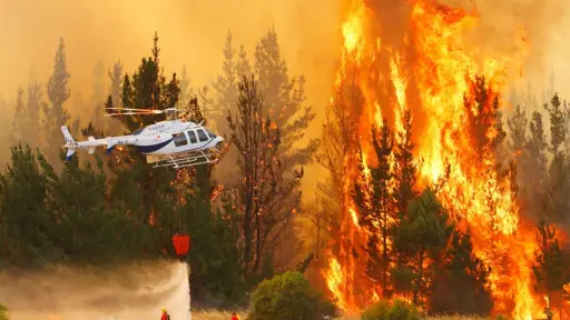 Hemos perdido 46 mil puestos de trabajo: Corma alerta por impacto de incendios en el sector forestal