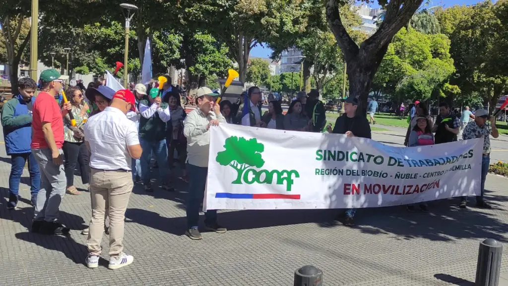 “Es la última oportunidad”: Trabajadores de Conaf Biobío advierten paro indefinido de no considerar sus demandas , Cedida